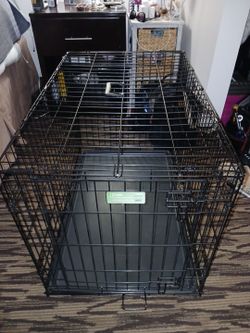 I crate Home training kennel