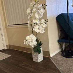 Decorative Flower Pot