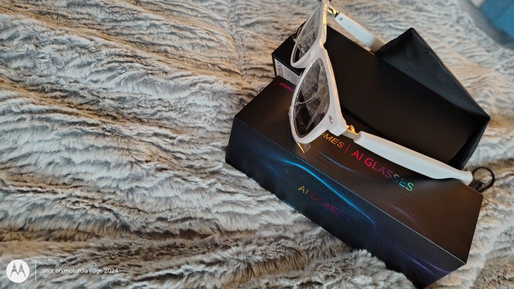 AI Translation Sunglasses 