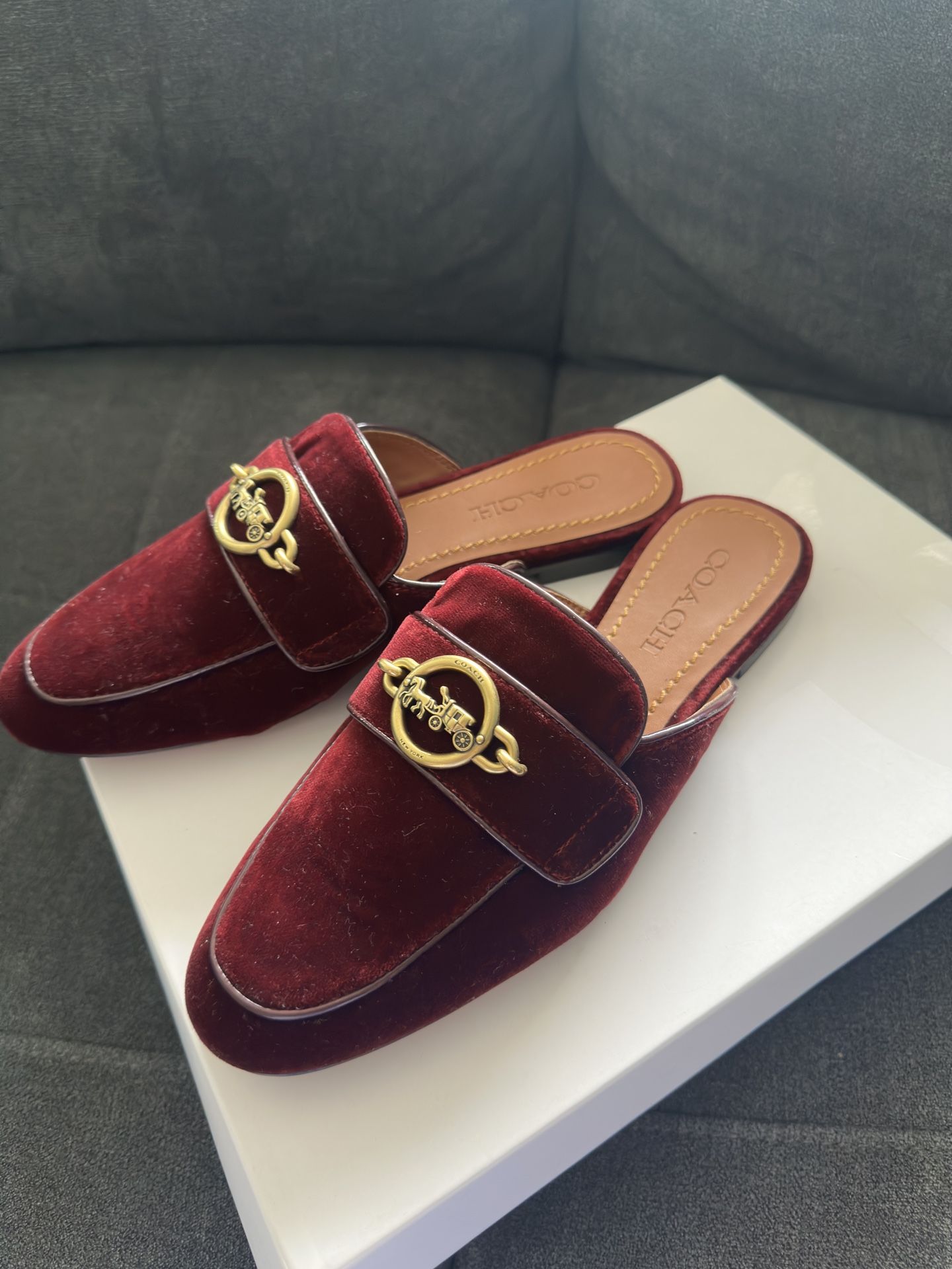 Coach Shoe Burgundy Velvet