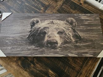 Bear Picture
