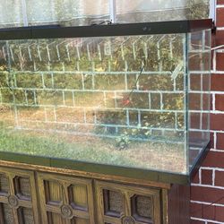 Fish Tank For Sale