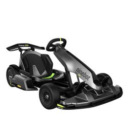Go Kart - Electric Segway Ninebot Pro