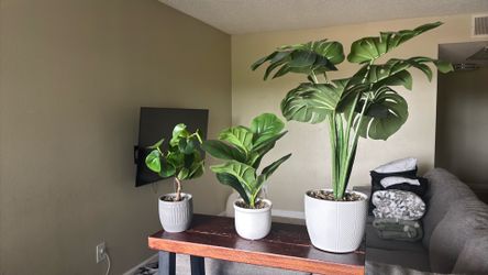 Plastic plants