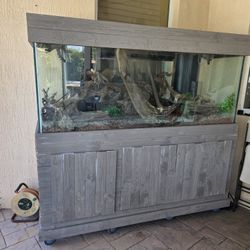 150 Gallon Fish Tank