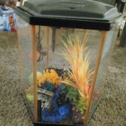 15 Gallon Fish Tank