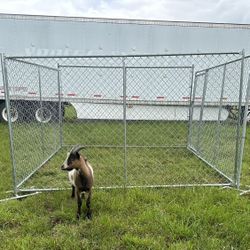 New Dog Animal Kennel $100ea(6by 10 Panel)
