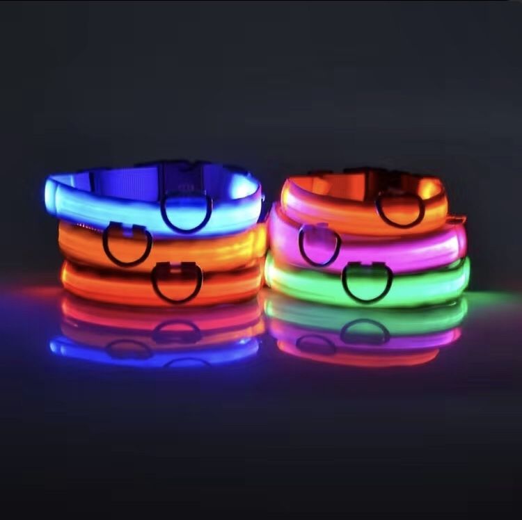 Glow-In-The-Dark Pet Collar For Small Medium Dogs, LED Dog Collar For Night Walking
