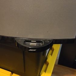 Bose Speaker Sounds Very Loud