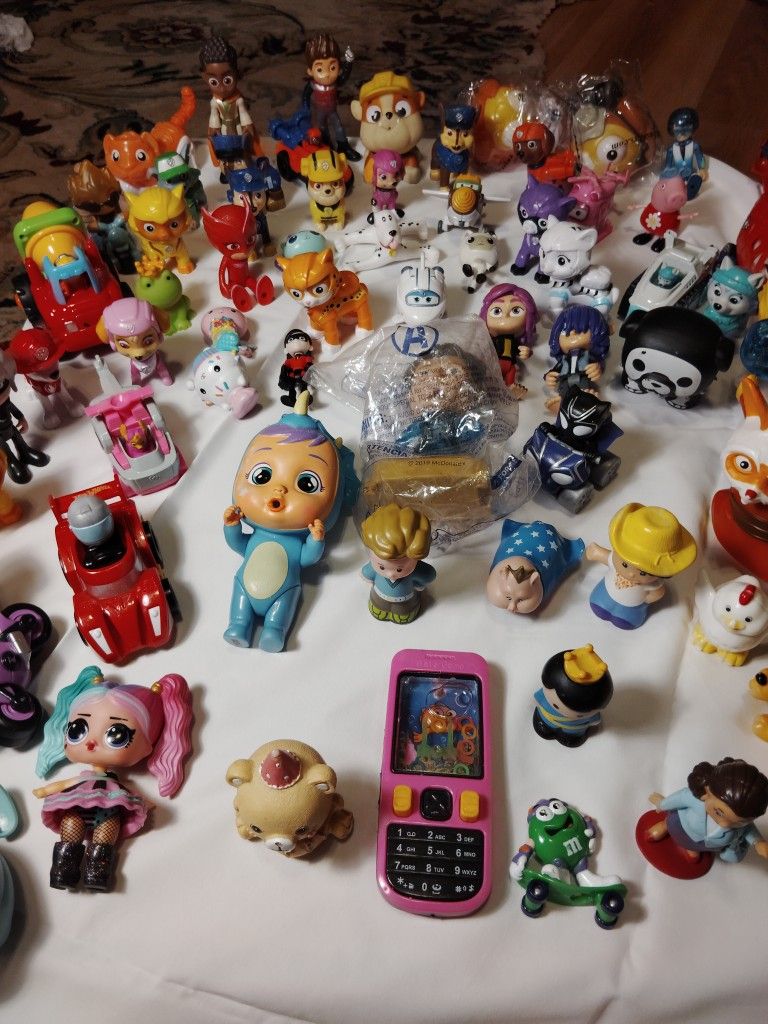 Paw Collection