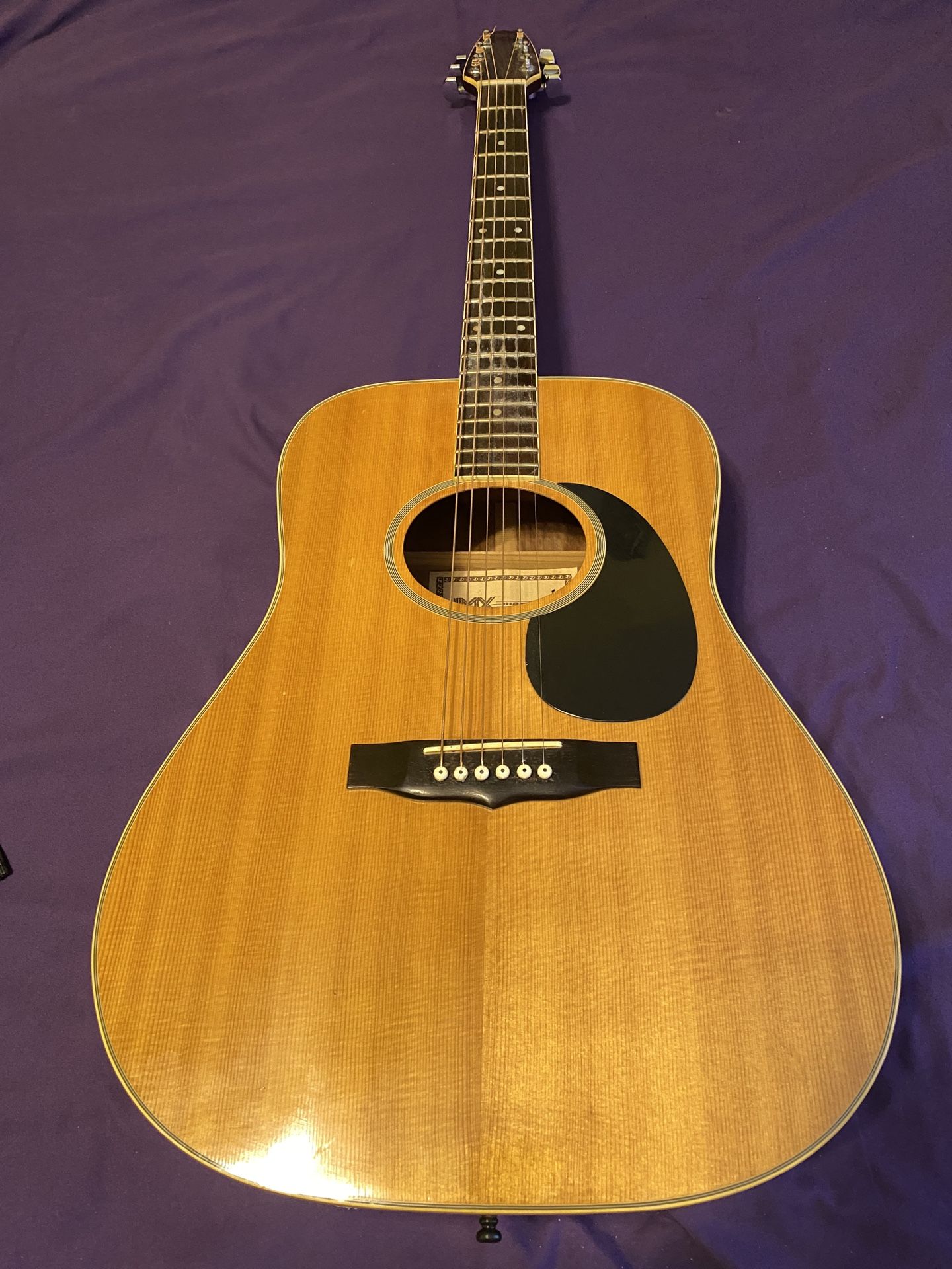 Acoustic Guitar With Case