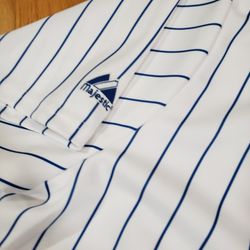 Authentic Starlin Castro Stitched Chicago Cubs Pinstripe Jersey NWT XXL for  Sale in Geneva, IL - OfferUp