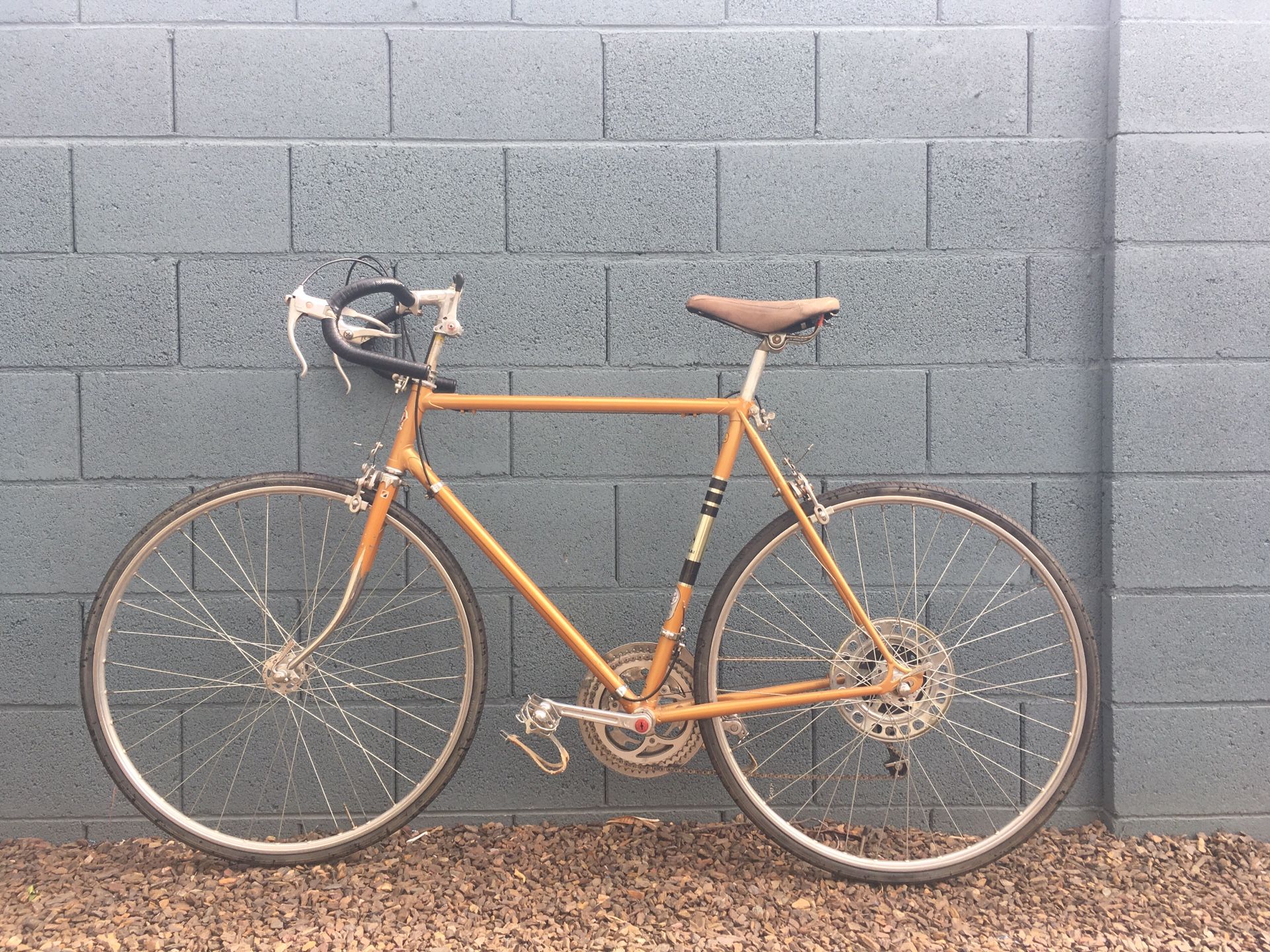 Vintage bike: 1972 nishiki American eagle kokusai international series 10-speed 58cm