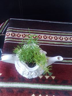 Planet garden indoor outdoor ceramic tea pot white Christmas gift decor