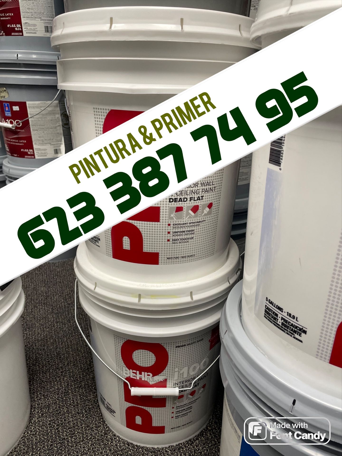 White Flats & Eggshell Paint