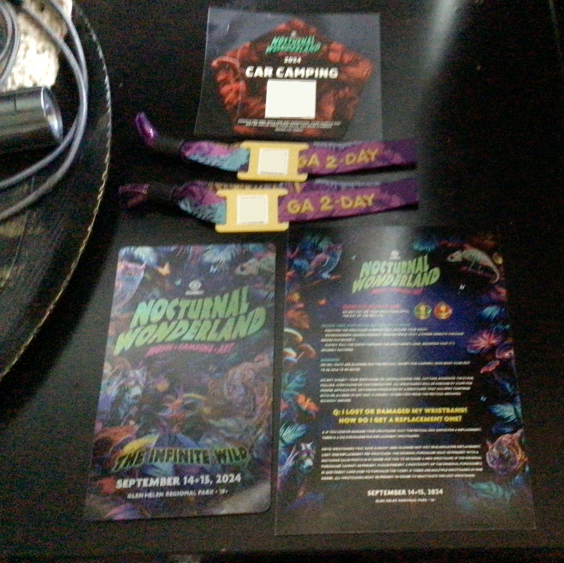 Nocturnal Car Camping W/ Wristbands