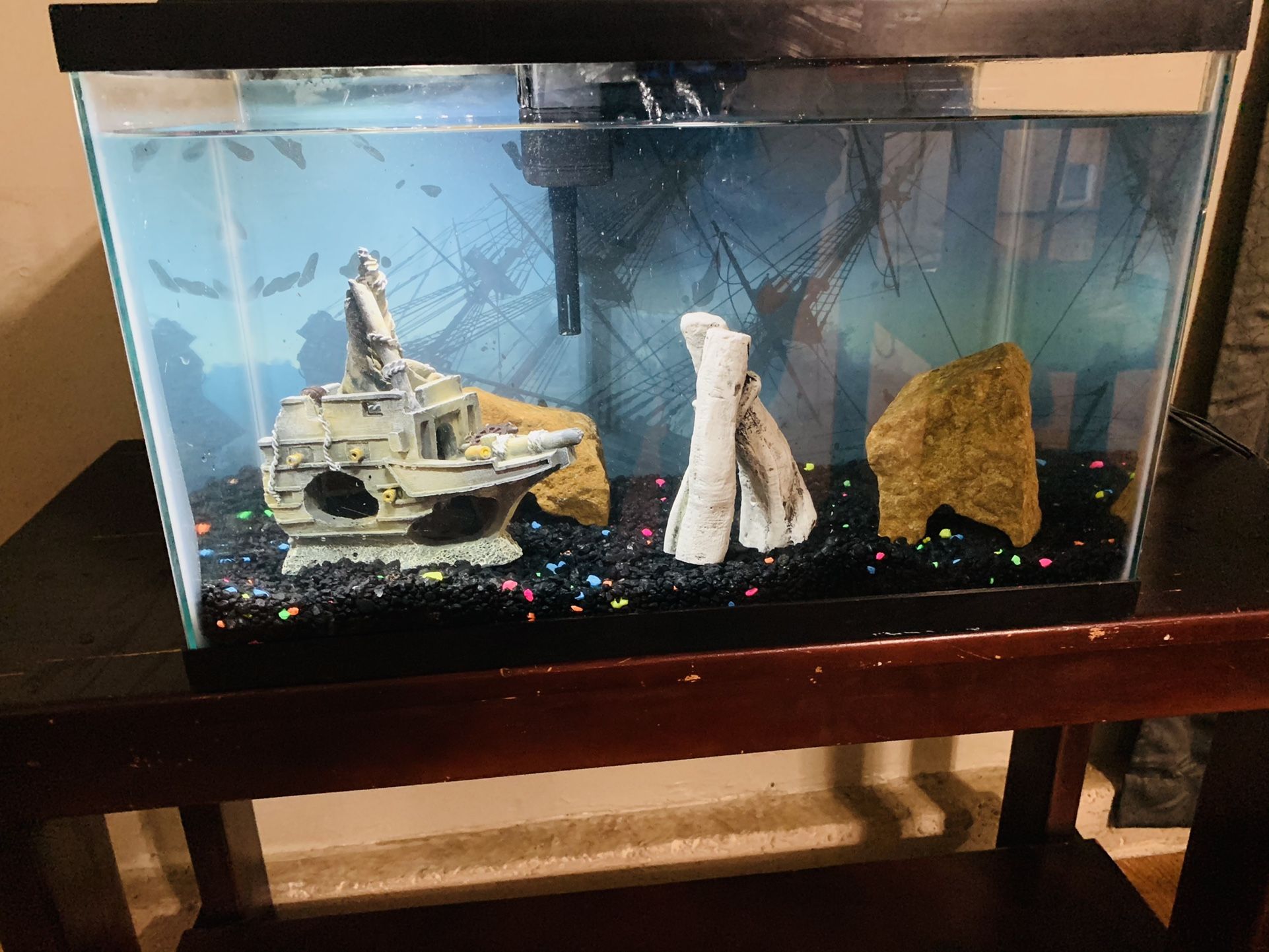 Fish Tank (10Gal)