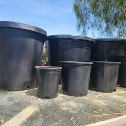 Brand New Plant Pots!