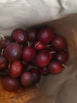Passion Fruit For Sale