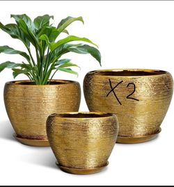 4 gold planters