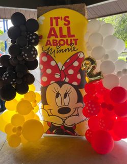 Minnie Mouse Birthday Decorations