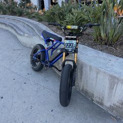 Modded E-bike 