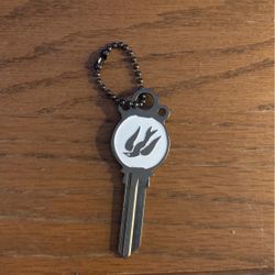 Bird In Cage Illusion Key (Bioshock)