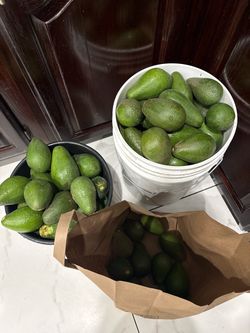 Avocados / Aguacates