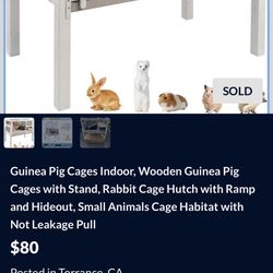 Guinea Pig Cage