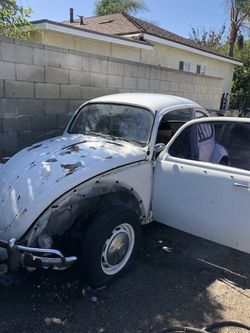 1967 Volkswagen