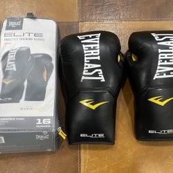 Everlast Boxing Gloves 