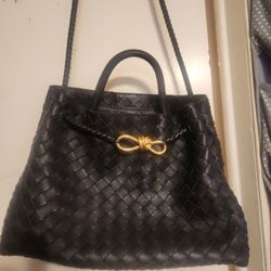 Bottega Veneta Andiamo Bag (Medium)