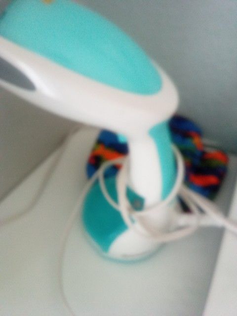 Hand Held Steamer