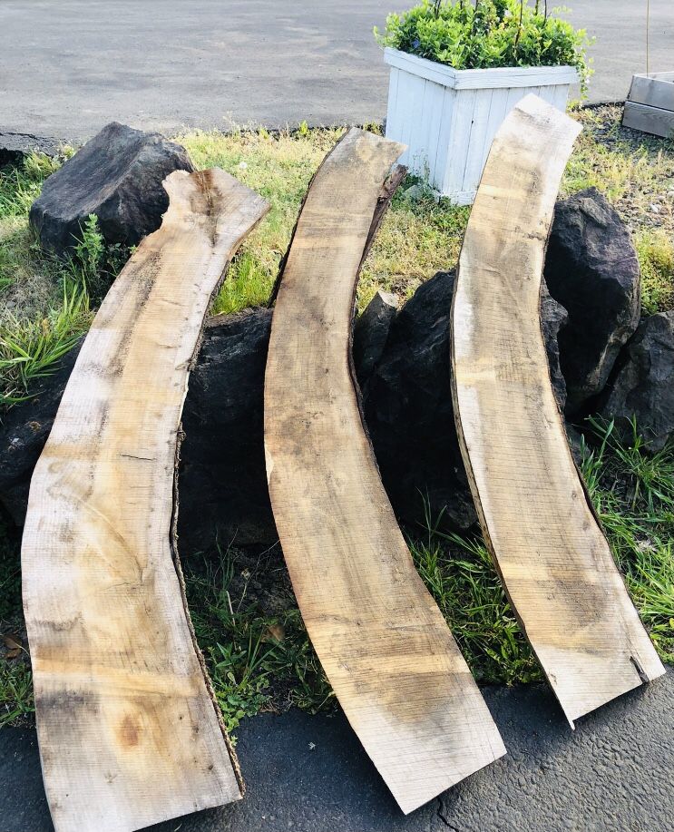 Lebanese Cedar Slabs