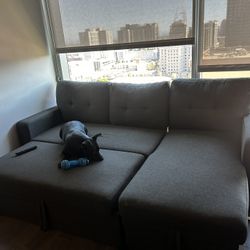 Pull Out Sectional & Full Sized Bed