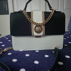 Aldo Purse