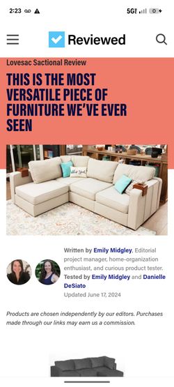 Lovesac sectional couch set