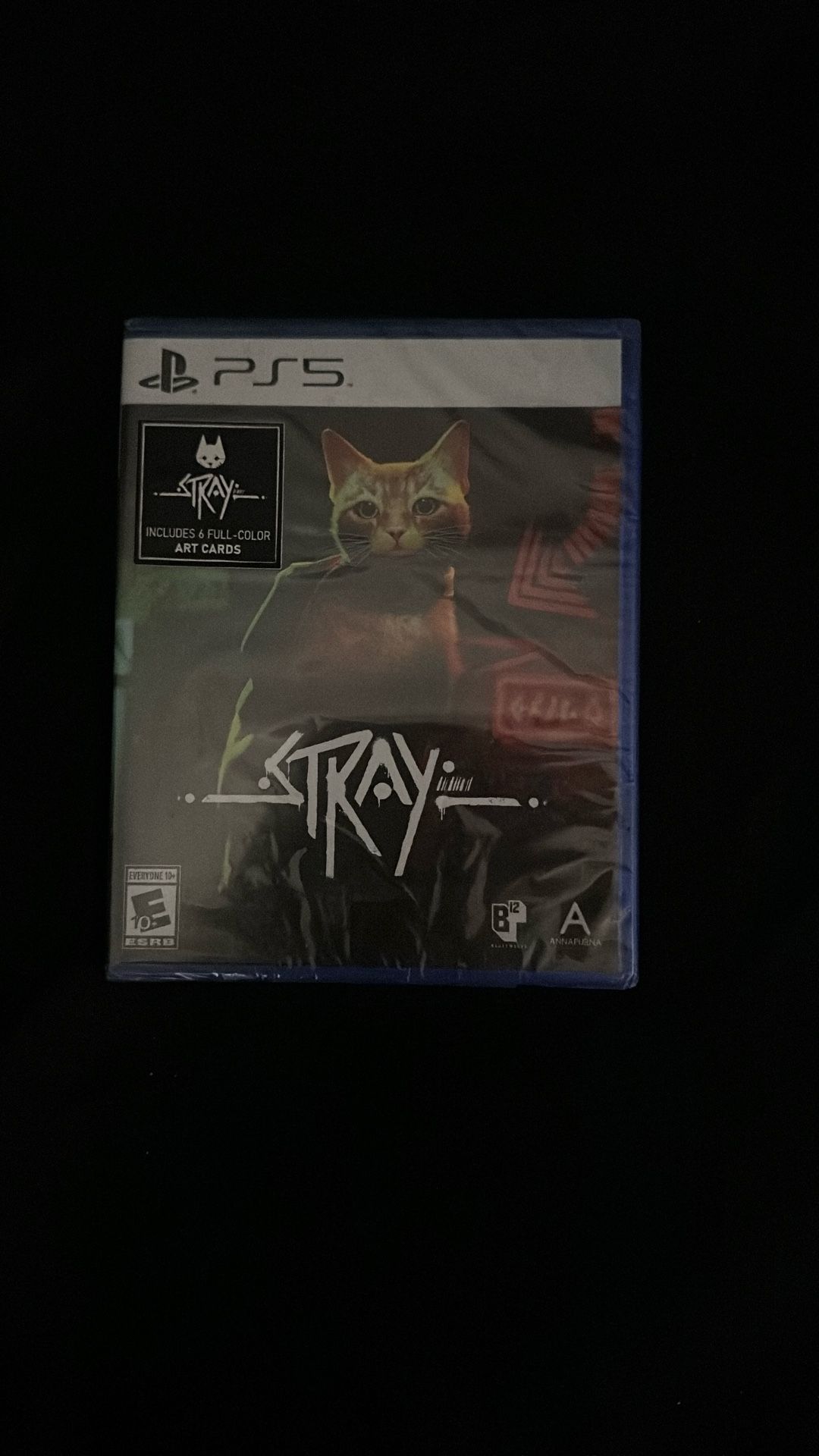 PS5 Game Stray