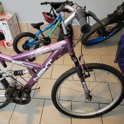 Mountain bike and road