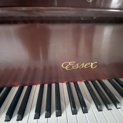 Beautiful Baby Grand Piano
