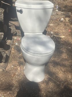 Use toilet