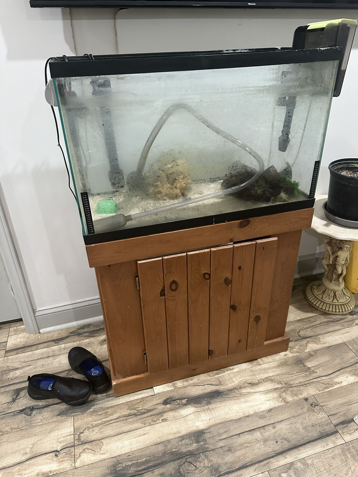 Fish Tank, Aquarium