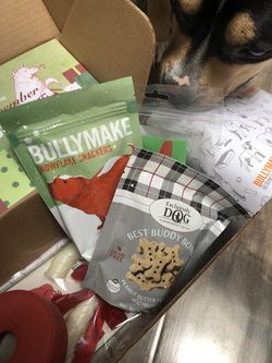 BULLYMAKE BOX! for Sale in Sedro-Woolley, WA - OfferUp