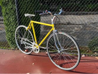 Raleigh Vintage Cruiser / City Bike Medium