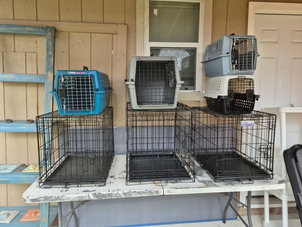 Nice Used Seven Small Pet