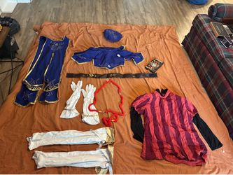 Microcostumes Large legend of Zelda breath of the wild palace guard cosplay / costume