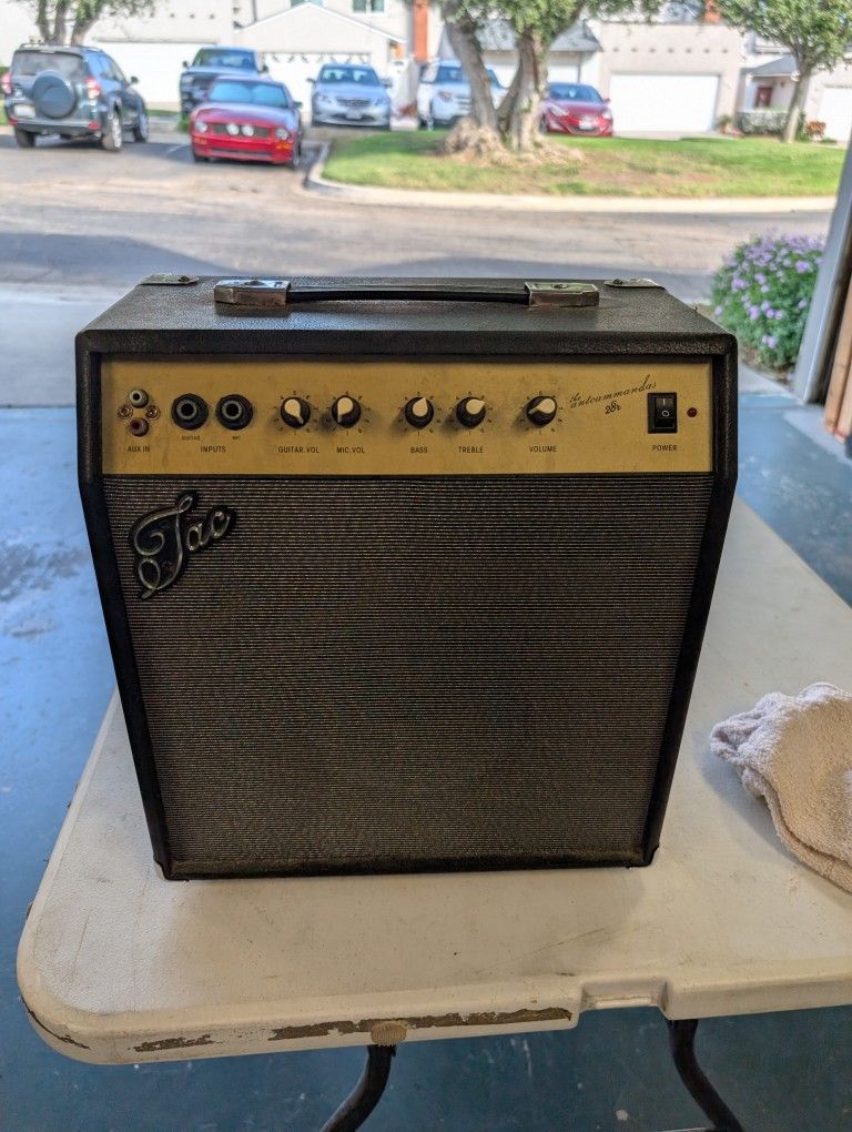 Thunderbox 28 Guitar Amp