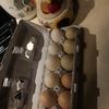 Brownys Egg Shop 