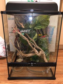 12x12x18 Exo terra terrarium