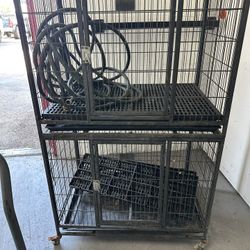 Dog Kennel